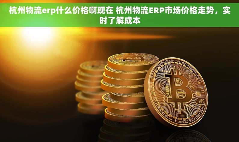 杭州物流erp什么价格啊现在 杭州物流ERP市场价格走势，实时了解成本