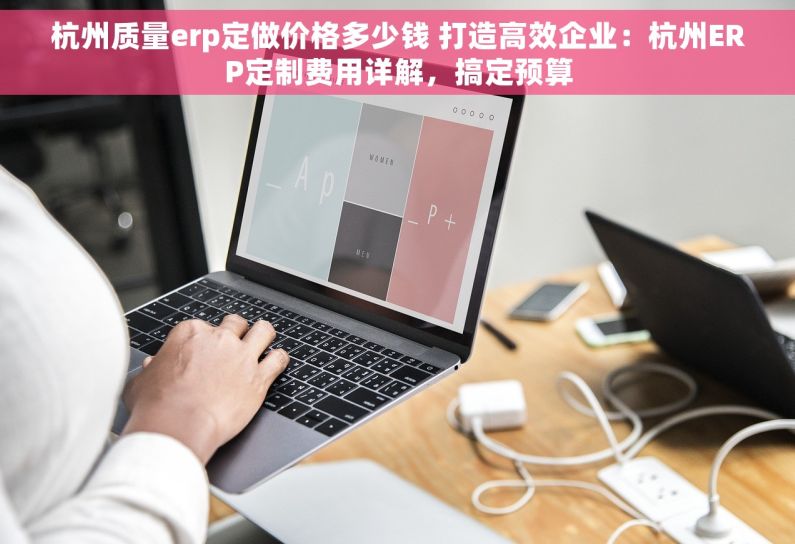 杭州质量erp定做价格多少钱 打造高效企业：杭州ERP定制费用详解，搞定预算
