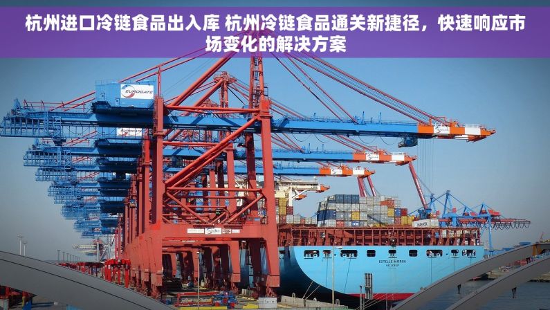 杭州进口冷链食品出入库 杭州冷链食品通关新捷径，快速响应市场变化的解决方案