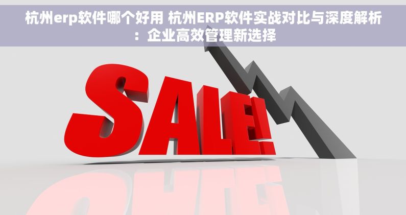 杭州erp软件哪个好用 杭州ERP软件实战对比与深度解析：企业高效管理新选择