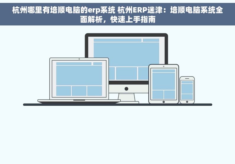 杭州哪里有培顺电脑的erp系统 杭州ERP迷津：培顺电脑系统全面解析，快速上手指南