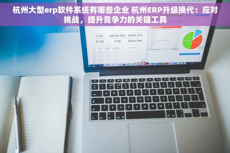 杭州大型erp软件系统有哪些企业 杭州ERP升级换代：应对挑战，提升竞争力的关键工具