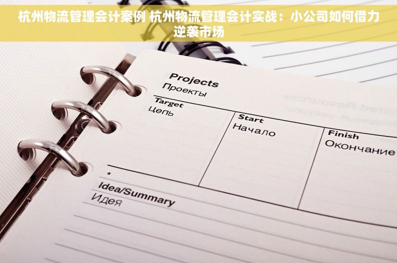 杭州物流管理会计案例 杭州物流管理会计实战：小公司如何借力逆袭市场