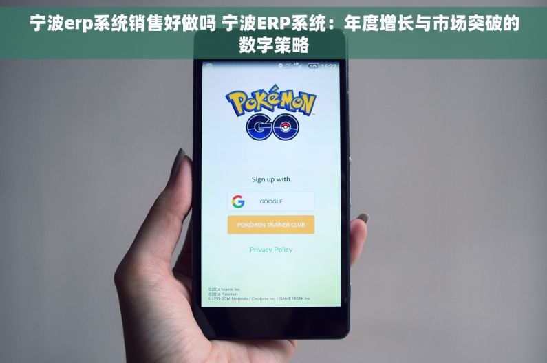 宁波erp系统销售好做吗 宁波ERP系统：年度增长与市场突破的数字策略