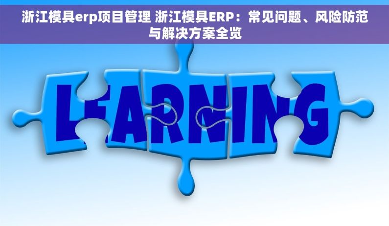 浙江模具erp项目管理 浙江模具ERP：常见问题、风险防范与解决方案全览