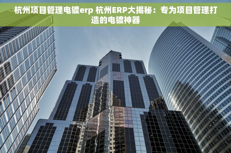 杭州项目管理电镀erp 杭州ERP大揭秘：专为项目管理打造的电镀神器