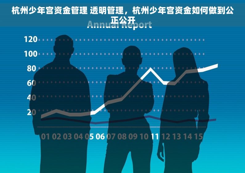 杭州少年宫资金管理 透明管理，杭州少年宫资金如何做到公正公开