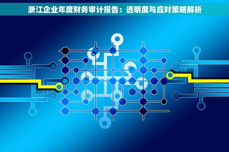 浙江企业年度财务审计报告：透明度与应对策略解析