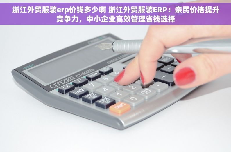 浙江外贸服装erp价钱多少啊 浙江外贸服装ERP：亲民价格提升竞争力，中小企业高效管理省钱选择
