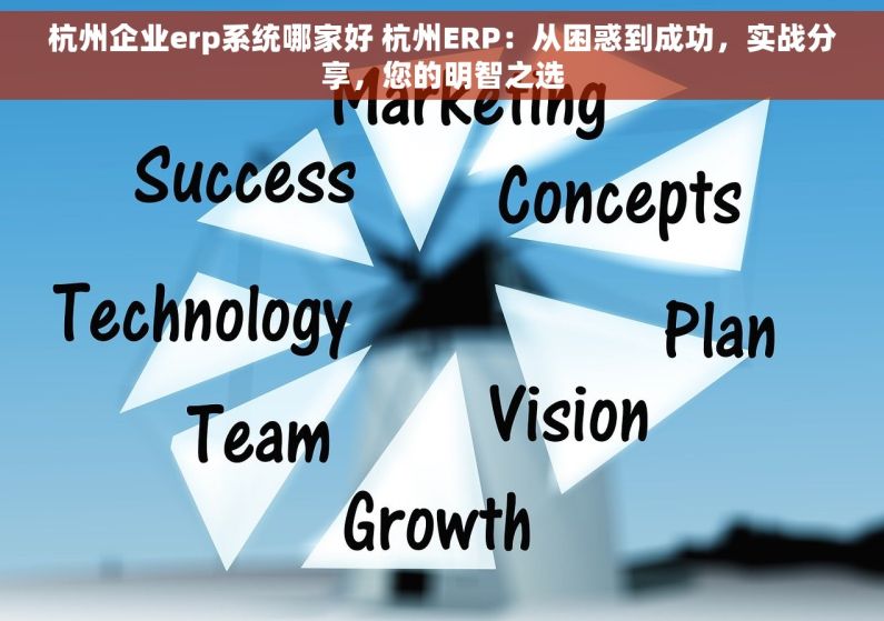 杭州企业erp系统哪家好 杭州ERP：从困惑到成功，实战分享，您的明智之选