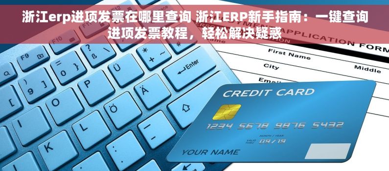 浙江erp进项发票在哪里查询 浙江ERP新手指南：一键查询进项发票教程，轻松解决疑惑