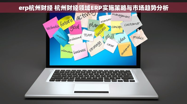 erp杭州财经 杭州财经领域ERP实施策略与市场趋势分析