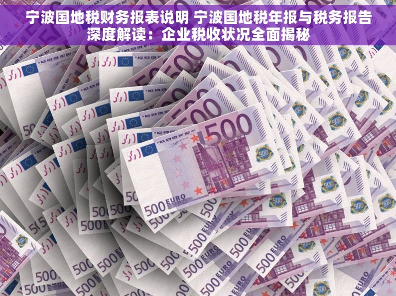 宁波国地税财务报表说明 宁波国地税年报与税务报告深度解读：企业税收状况全面揭秘