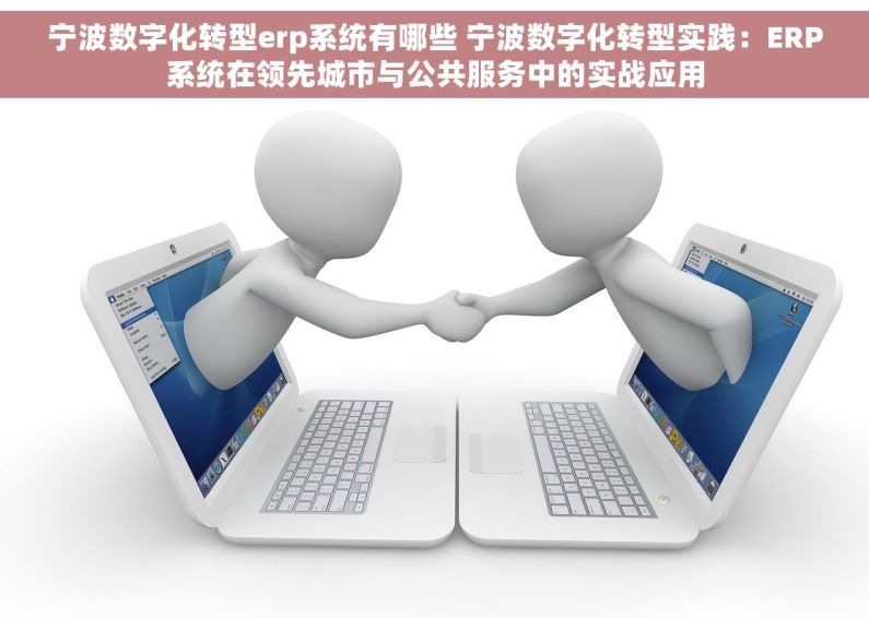 宁波数字化转型erp系统有哪些 宁波数字化转型实践：ERP系统在领先城市与公共服务中的实战应用