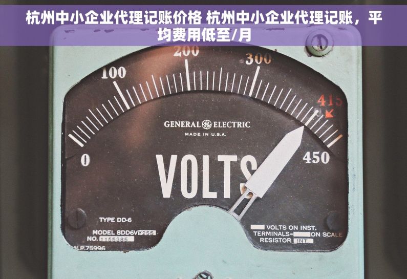 杭州中小企业代理记账价格 杭州中小企业代理记账，平均费用低至/月
