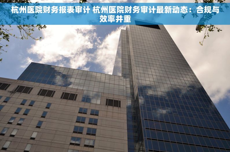 杭州医院财务报表审计 杭州医院财务审计最新动态：合规与效率并重