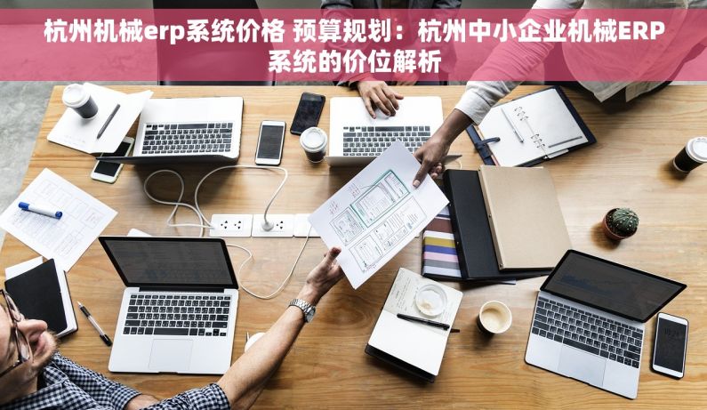 杭州机械erp系统价格 预算规划：杭州中小企业机械ERP系统的价位解析