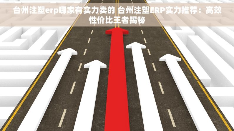 台州注塑erp哪家有实力卖的 台州注塑ERP实力推荐：高效性价比王者揭秘