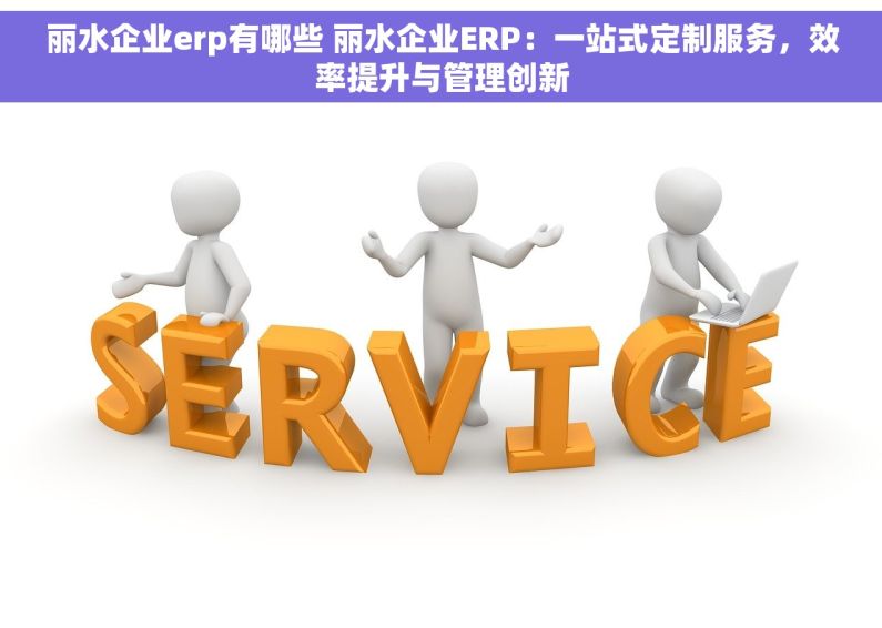 丽水企业erp有哪些 丽水企业ERP：一站式定制服务，效率提升与管理创新