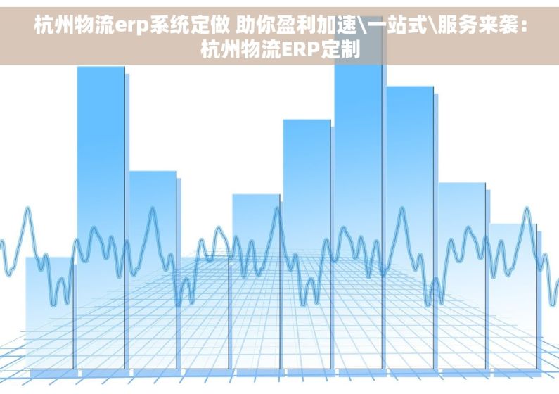 杭州物流erp系统定做 助你盈利加速\一站式\服务来袭：杭州物流ERP定制
