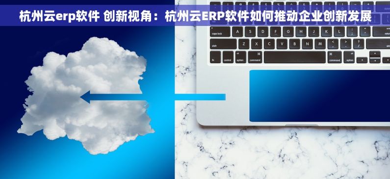 杭州云erp软件 创新视角：杭州云ERP软件如何推动企业创新发展