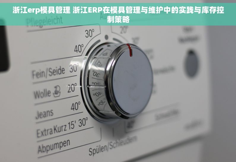 浙江erp模具管理 浙江ERP在模具管理与维护中的实践与库存控制策略