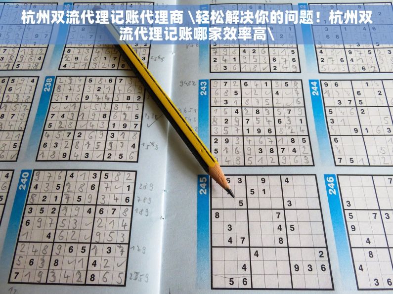 杭州双流代理记账代理商 \轻松解决你的问题！杭州双流代理记账哪家效率高\
