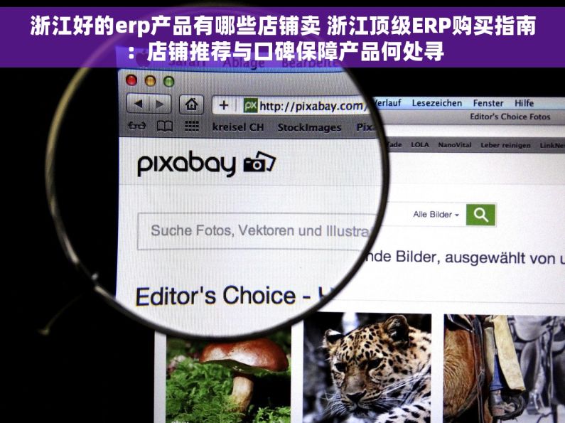 浙江好的erp产品有哪些店铺卖 浙江顶级ERP购买指南：店铺推荐与口碑保障产品何处寻