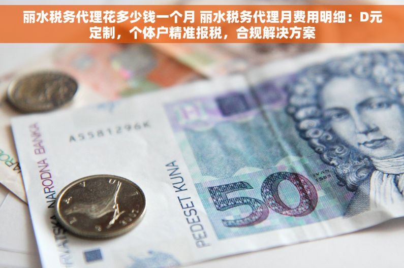 丽水税务代理花多少钱一个月 丽水税务代理月费用明细：D元定制，个体户精准报税，合规解决方案