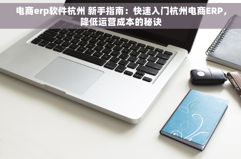 电商erp软件杭州 新手指南：快速入门杭州电商ERP，降低运营成本的秘诀