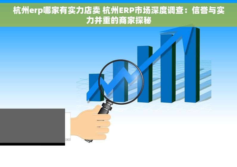 杭州erp哪家有实力店卖 杭州ERP市场深度调查：信誉与实力并重的商家探秘