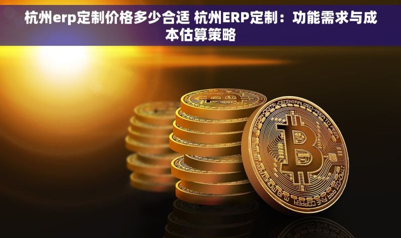 杭州erp定制价格多少合适 杭州ERP定制：功能需求与成本估算策略