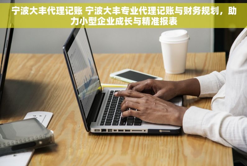 宁波大丰代理记账 宁波大丰专业代理记账与财务规划，助力小型企业成长与精准报表