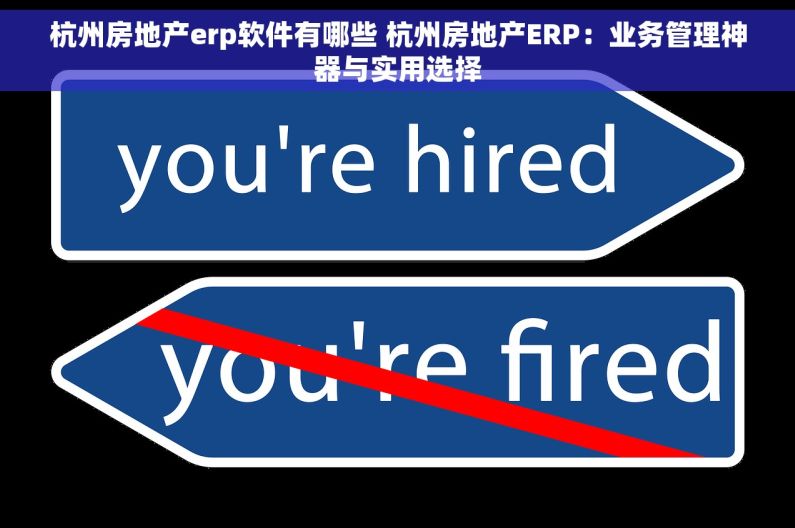 杭州房地产erp软件有哪些 杭州房地产ERP：业务管理神器与实用选择