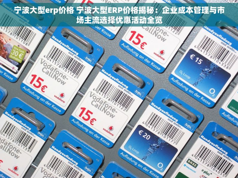 宁波大型erp价格 宁波大型ERP价格揭秘：企业成本管理与市场主流选择优惠活动全览