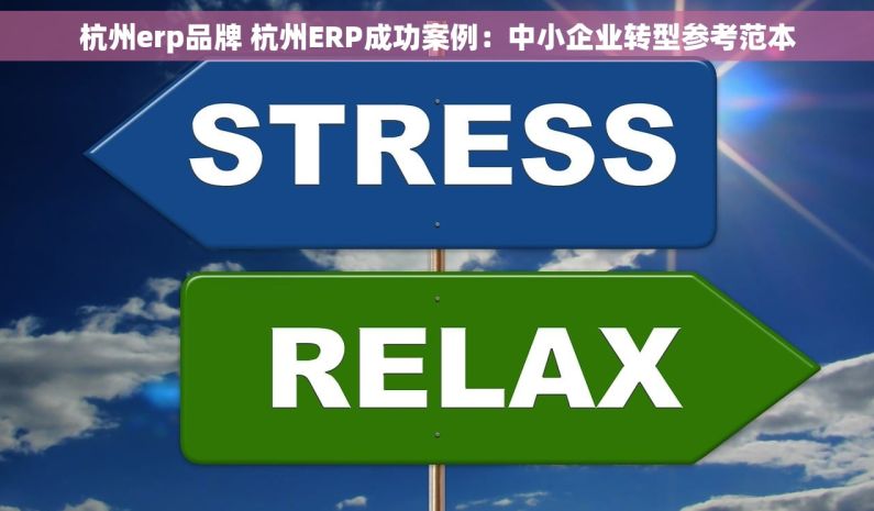 杭州erp品牌 杭州ERP成功案例：中小企业转型参考范本