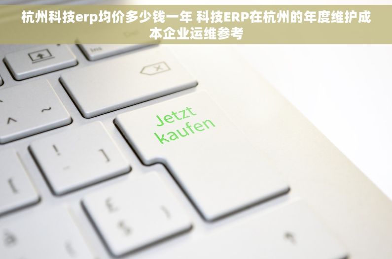 杭州科技erp均价多少钱一年 科技ERP在杭州的年度维护成本企业运维参考