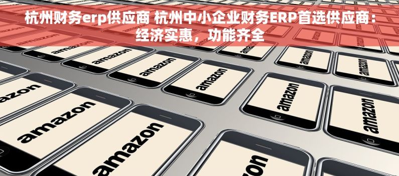 杭州财务erp供应商 杭州中小企业财务ERP首选供应商：经济实惠，功能齐全