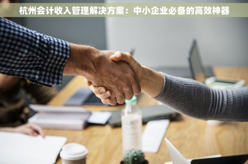 杭州会计收入管理解决方案：中小企业必备的高效神器
