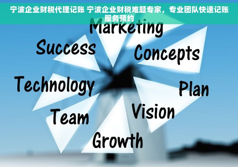 宁波企业财税代理记账 宁波企业财税难题专家，专业团队快速记账服务预约