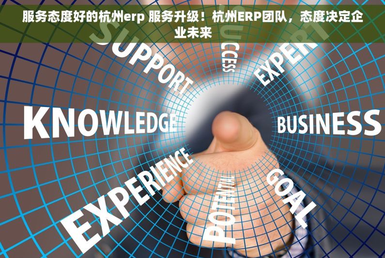 服务态度好的杭州erp 服务升级！杭州ERP团队，态度决定企业未来