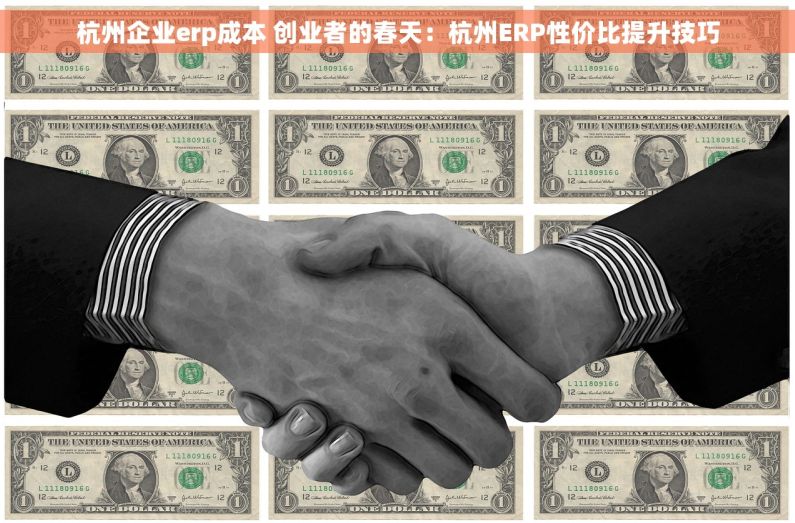杭州企业erp成本 创业者的春天：杭州ERP性价比提升技巧