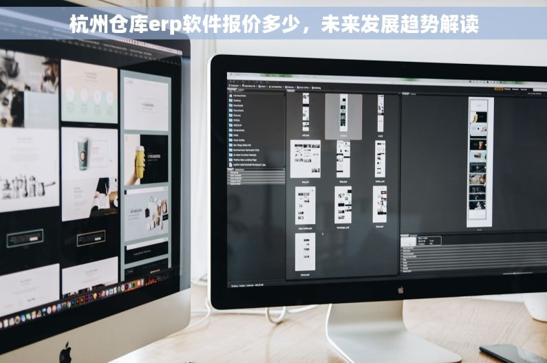 杭州仓库erp软件报价多少，未来发展趋势解读