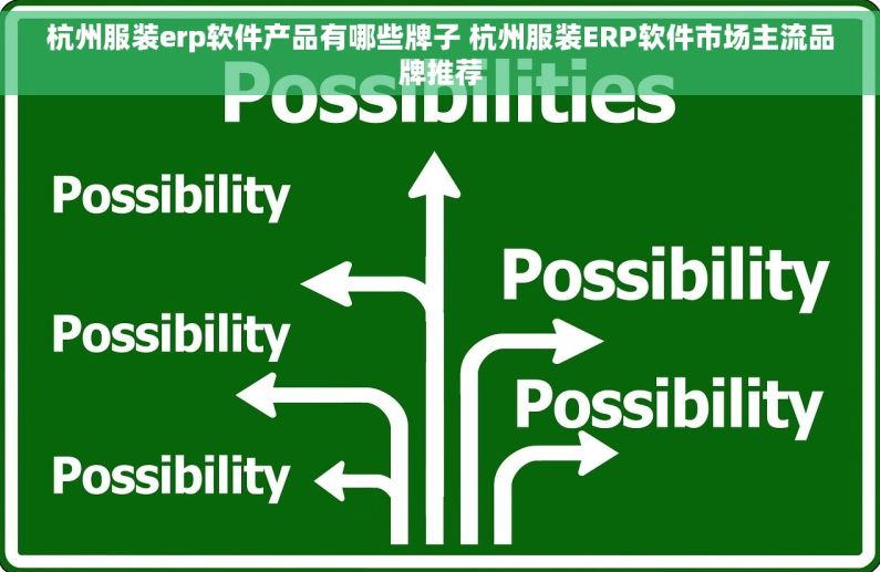 杭州服装erp软件产品有哪些牌子 杭州服装ERP软件市场主流品牌推荐