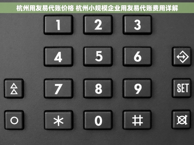 杭州用友易代账价格 杭州小规模企业用友易代账费用详解
