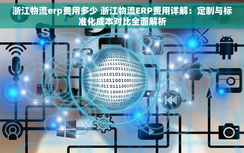 浙江物流erp费用多少 浙江物流ERP费用详解：定制与标准化成本对比全面解析