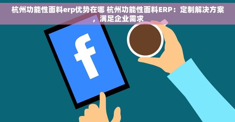 杭州功能性面料erp优势在哪 杭州功能性面料ERP：定制解决方案，满足企业需求