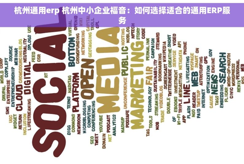 杭州通用erp 杭州中小企业福音：如何选择适合的通用ERP服务