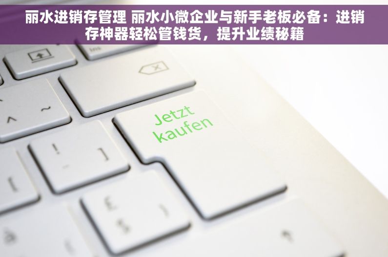 丽水进销存管理 丽水小微企业与新手老板必备：进销存神器轻松管钱货，提升业绩秘籍