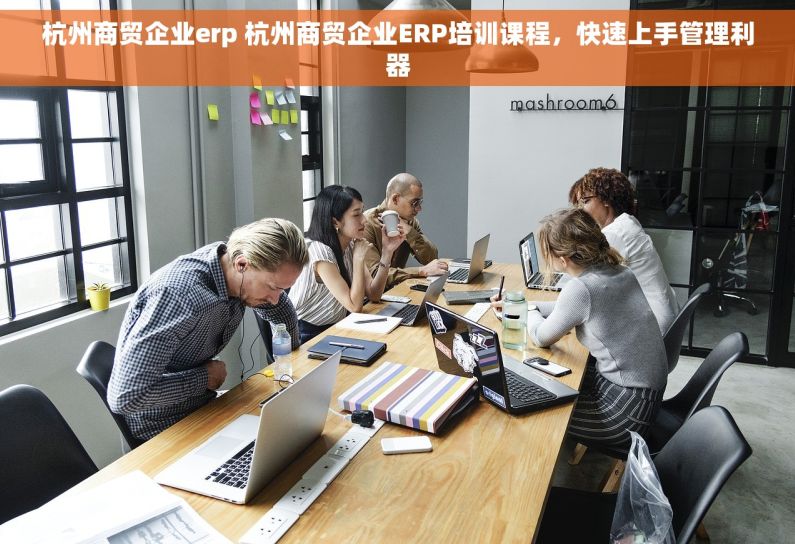 杭州商贸企业erp 杭州商贸企业ERP培训课程，快速上手管理利器